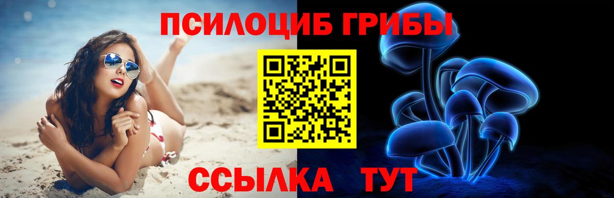 Псилоцибиновые грибы Psilocybine cubensis Минеральные Воды